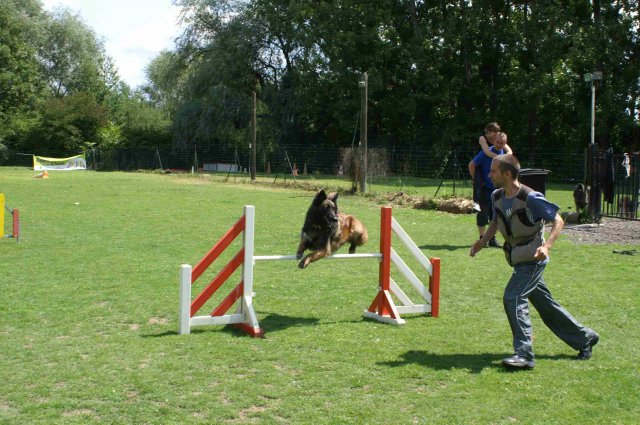 agility 2011-07-24